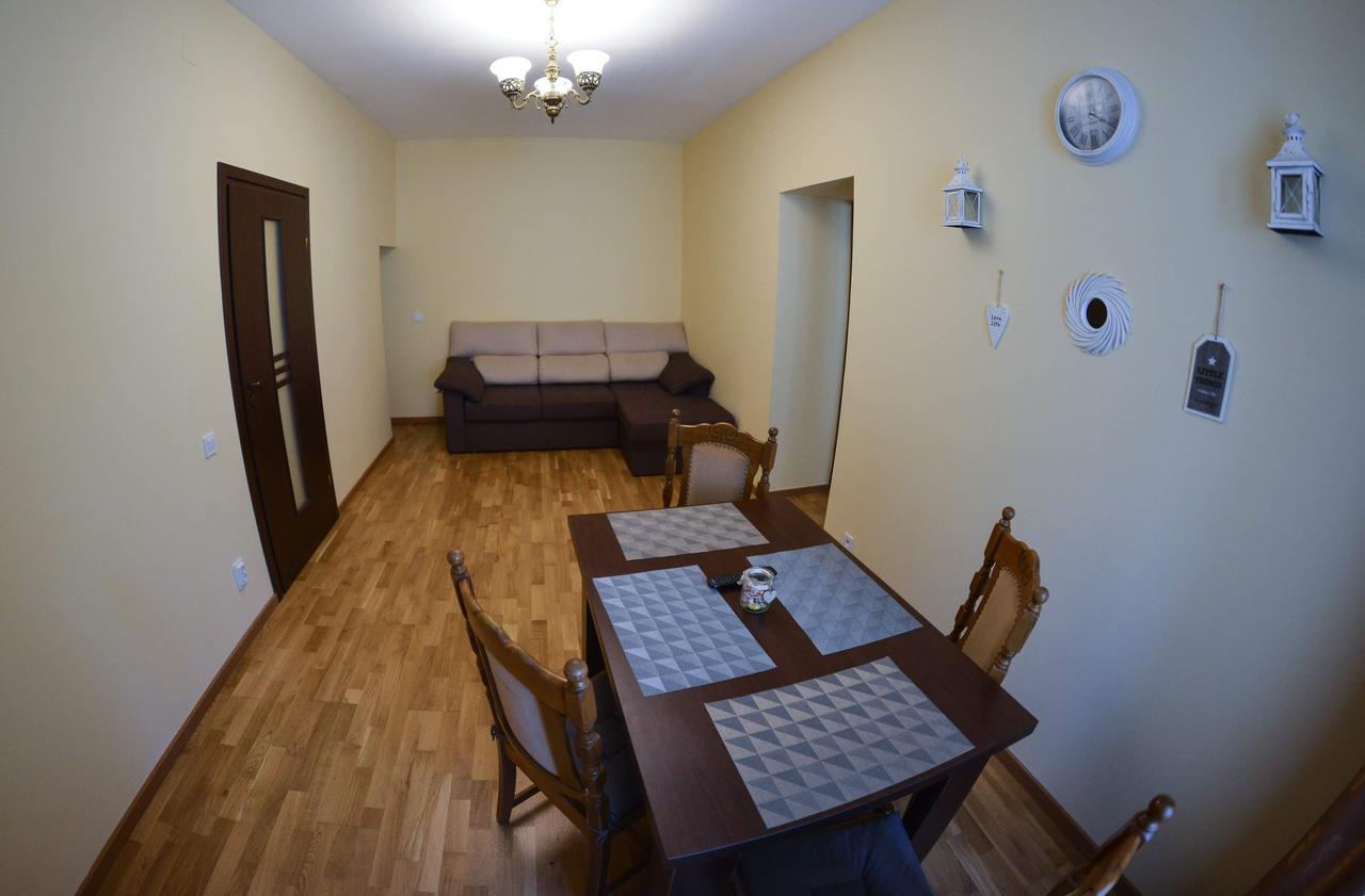 Apartment Luca Poarta Schei ブラショフ エクステリア 写真